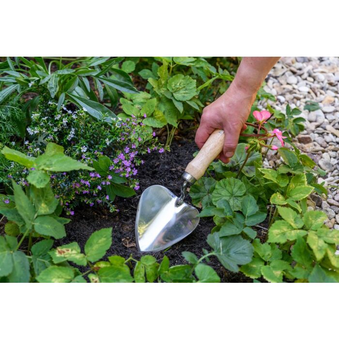 Burgon & Ball - Stainless Planting Trowel - RHS Endorsed